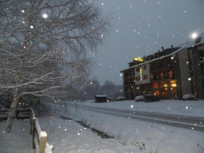 Гостиница Hotel Eriste  Эристе